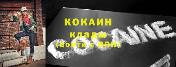 кокс Гусев