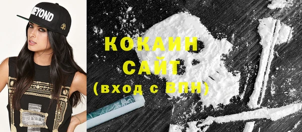 кокс Гусев