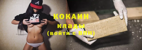 кокс Гусев